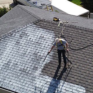How to Revitalize Your Roof with Greener Shingles