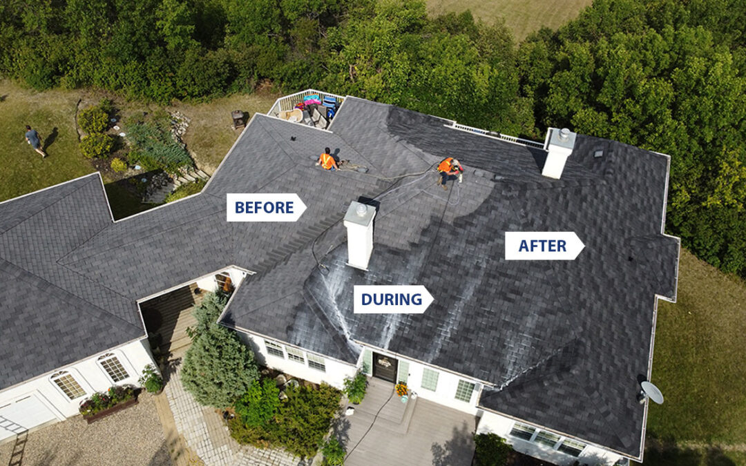 How will Greener Shingles benefit me?