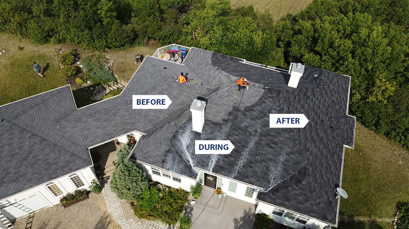 Greener Shingles before, during, after