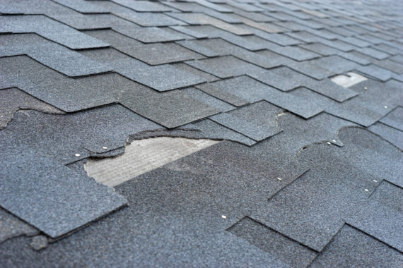 6 Common Types of Roof Damage