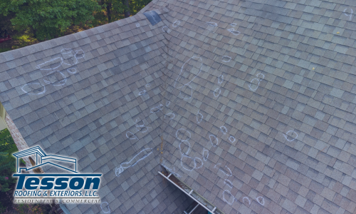 Most Common Roof Damage St. Louis Home Owners Should Look Out For